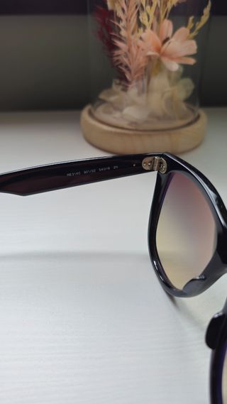 Gafas de sol Ray-Ban wayfarer negras