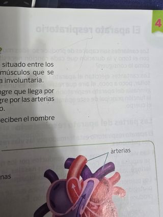 Ciencias de la naturaleza. 4 Primaria. Savia. M...