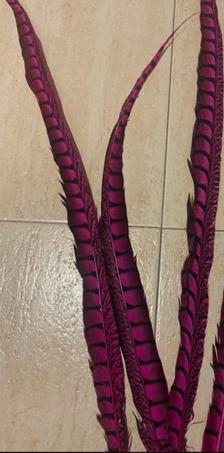 3 Plumas de Faisán
