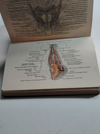 Libro antiguo.Atlas de anatomía .v pauchet 