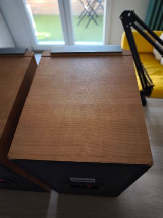 Etapa The T.amp TA450 + Altavoces Sony SS-NX1