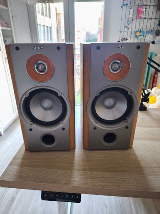 Etapa The T.amp TA450 + Altavoces Sony SS-NX1