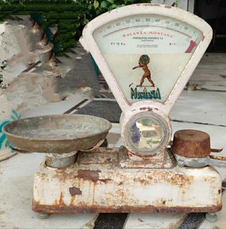 Balanza Antigua Montaña 15 Kgs