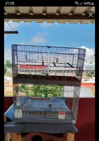 Jaula para pájaros de dos pisos