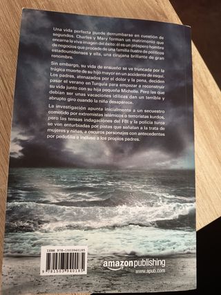 Desaparecida (Spanish Edition)