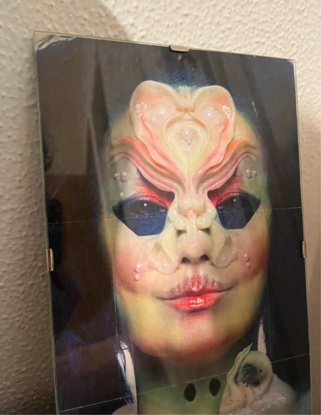 Cuadro enmarcado Björk Utopia