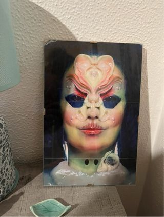 Cuadro enmarcado Björk Utopia