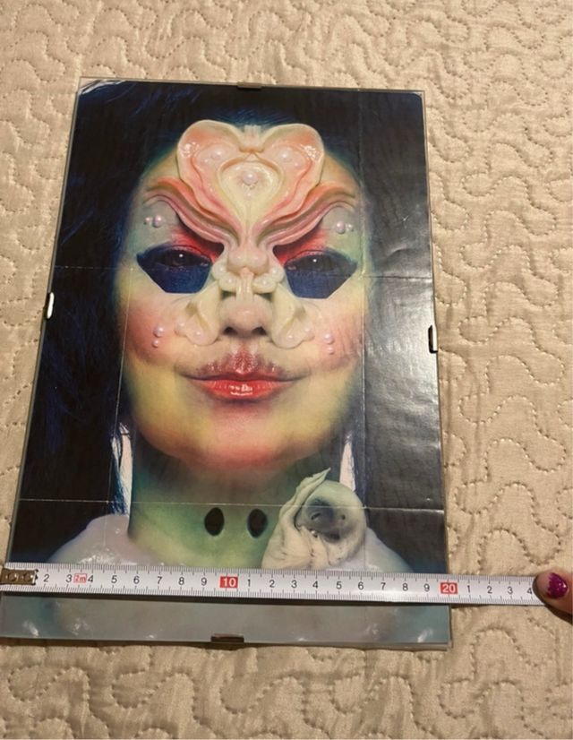 Cuadro enmarcado Björk Utopia