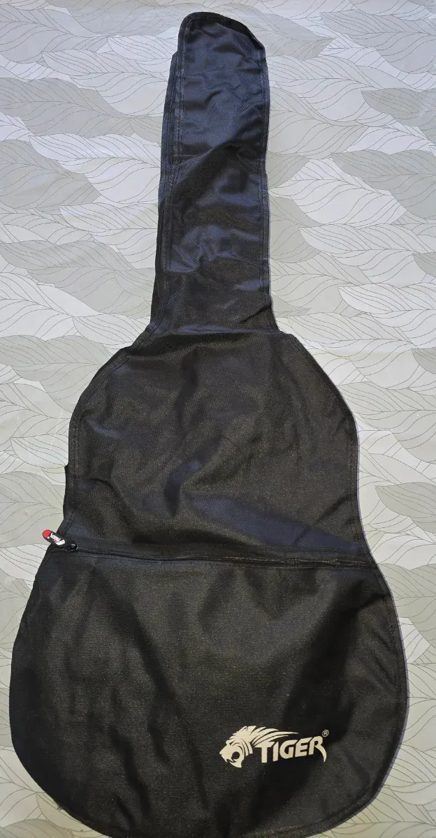 Guitarra Richwood Gypsy Jazz