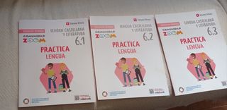 Pack 3 Libros Práctica Lengua Castellana y Lit.