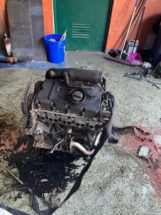 Motor 2.0 TDI BKD