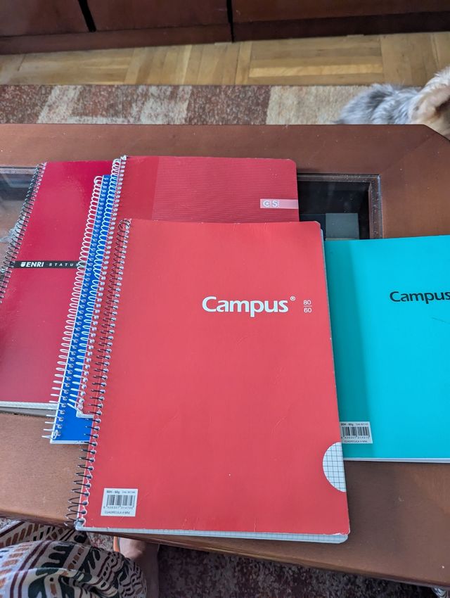 Lote Cuadernos Campus, Áncora y Enri