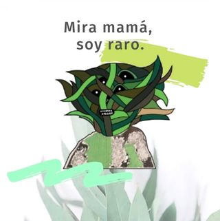 Peluquera/o