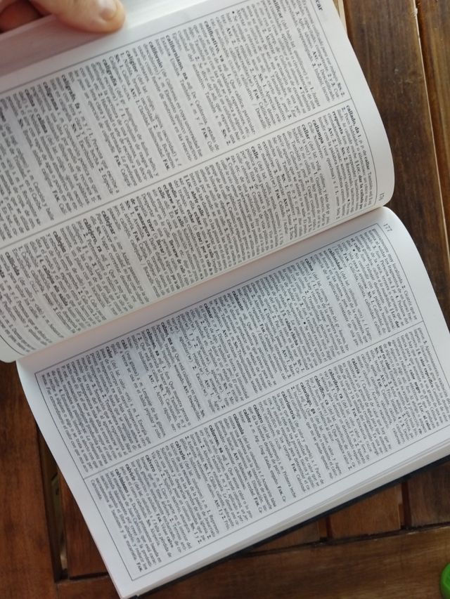 Diccionario Esencial Santillana (Spanish Edition)