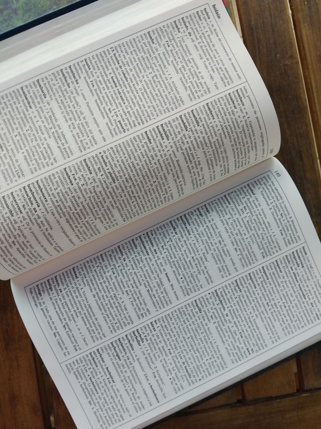 Diccionario Esencial Santillana (Spanish Edition)