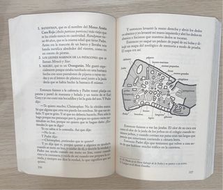 LIBRO: El curioso incidente del perro a medianoche