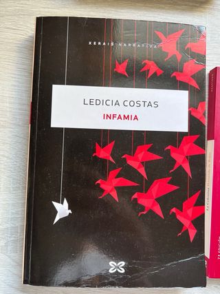 Libros de todo tipo escolares e infantiles