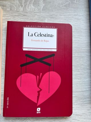 Libros de todo tipo escolares e infantiles