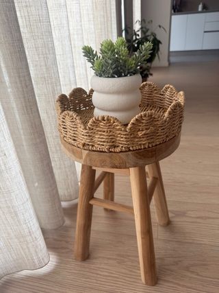 Bandeja ratán con planta decorativa