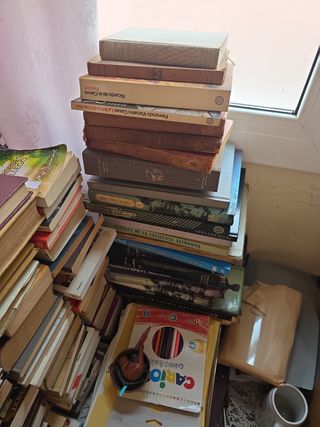 Lote libros