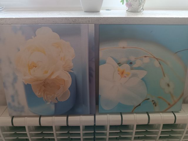 Pareja de cuadros decorativos florales