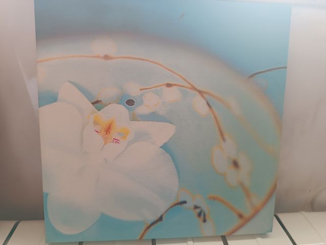 Pareja de cuadros decorativos florales