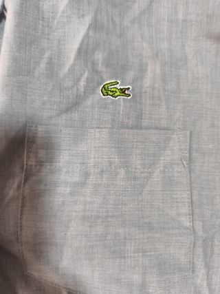 Camisa Crop Lacoste Mujer Gris