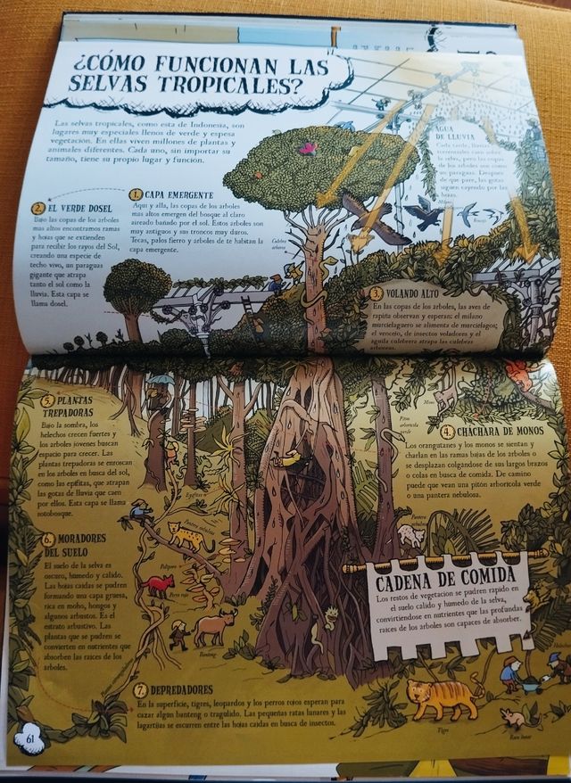 COSAS QUE TE GUSTARÁ SABER SOBRE EL PLANETA TIERRA