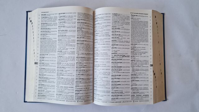 Dizionario di inglese Garzanti/Petrini. Con CD-ROM