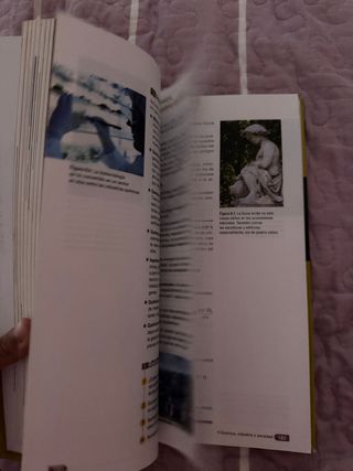 Física y Química Bachillerato (Spanish Edition)