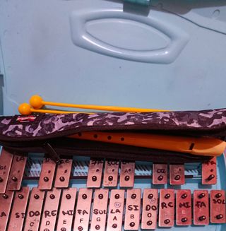 PACK UNICO!! Flauta+ Funda +Carrillón