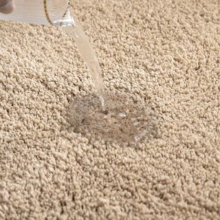 Alfombra de Baño Antideslizante 70x120 cm