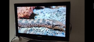 Televisor Samsung 32 Negro LCD