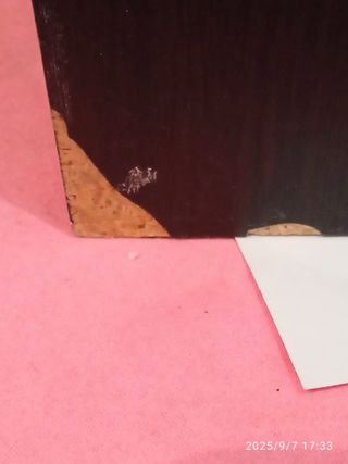 2 Altavoces Technics SB3650 vintage