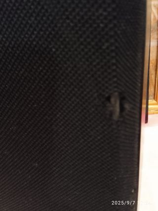 2 Altavoces Technics SB3650 vintage