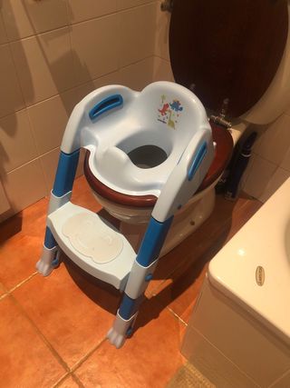 Asiento reductor de baño con escalera para niños