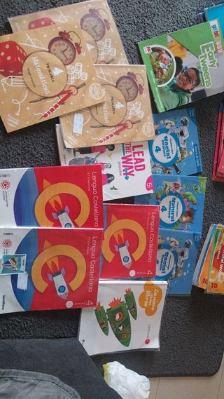 Libros de cuarto de primaria