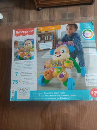 Correpasillos Fisher-Price Cagnolino Primi Passi