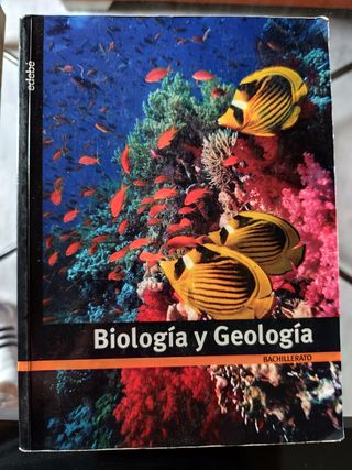 Libros 1°Bachillerato EDEBÉ