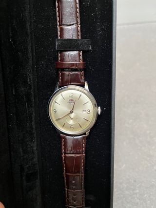 Orient Bambino