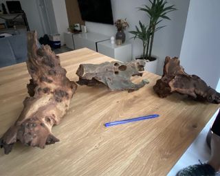 Raíces de madera para acuario