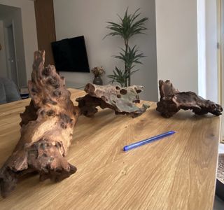 Raíces de madera para acuario