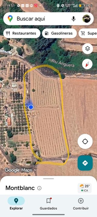 Terreno 8000m² con viñedo