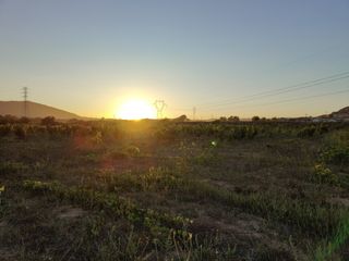 Terreno 8000m² con viñedo