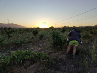 Terreno 8000m² con viñedo
