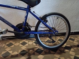 Bicicleta niño Greenworld 20S trail