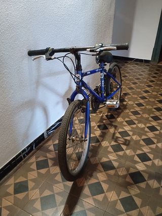 Bicicleta niño Greenworld 20S trail