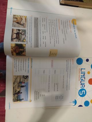 Lingua 5. ANAYA. Aprender e crecer en conexión. 