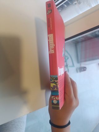 Dragon Ball nº 10/34 PDA