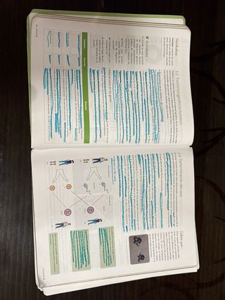 Biología y Geología 4.º ESO
